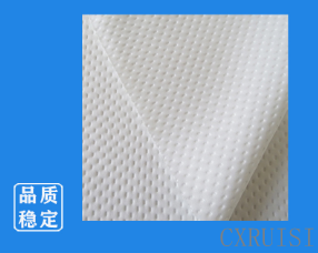 涤纶无尘布RS-4009D